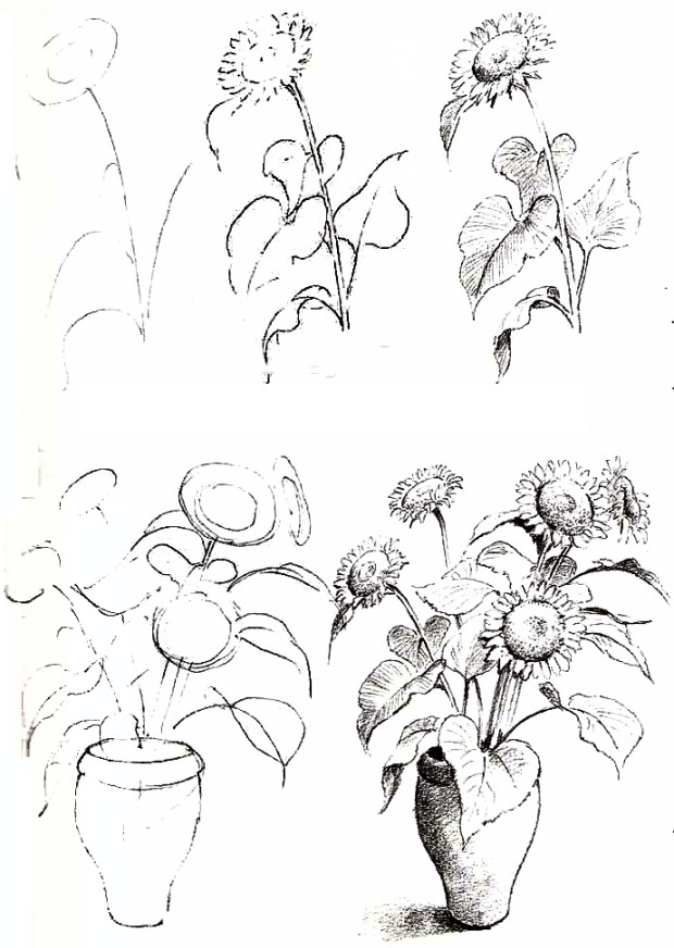 karakalem bitki çizim
