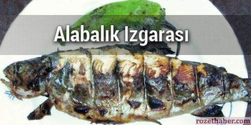 Alabalık Izgarası