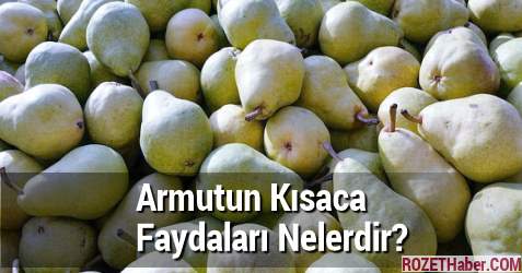 Armutun Kısaca Faydaları Nelerdir Armutun Kısaca Faydaları Nelerdir
