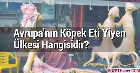 Avrupa'nın Köpek Eti Yiyen Ülkesi Hangisidir Avrupa'nın Köpek Eti Yiyen Ülkesi Hangisidir