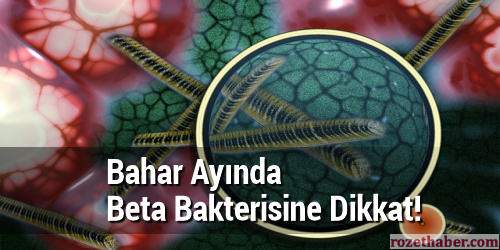 Bahar Ayında Beta Bakterisine Dikkat