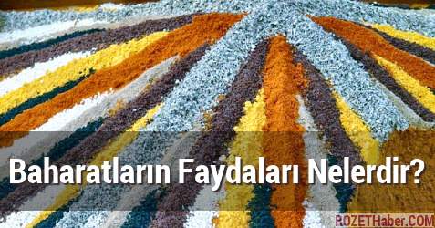 Baharatların Faydaları Nelerdir