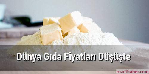 Dünya Gıda Fiyatları Düşüşte