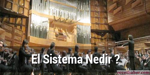 El Sistema Nedir