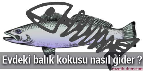 Evdeki Balık Kokusu Nasıl Gider Evdeki Balık Kokusu Nasıl Gider