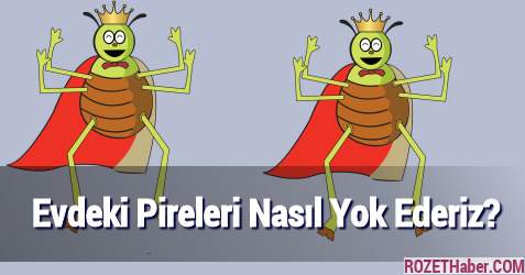 Evdeki Pireleri Nasıl Yok Ederiz