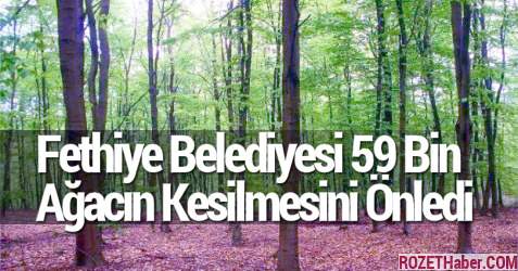 Fethiye Belediyesi 59 Bin Ağacın Kesilmesini Önledi