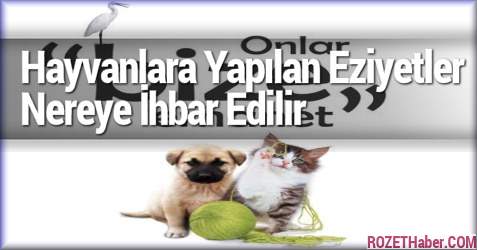 Türkiye'de Hayvanlar Hukuken Eşya Sayılıyor