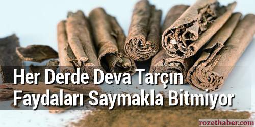 Her Derde Deva Tarçın Faydaları Saymakla Bitmiyor