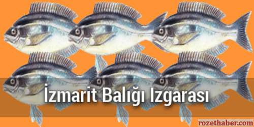 İzmarit Balığı Izgarası İzmarit Balığı Izgarası
