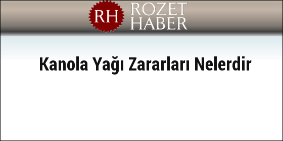 Kanola Yağı Zararları Nelerdir Kanola Yağı Zararları Nelerdir