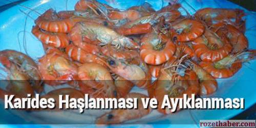 Karides Haşlanması ve Ayıklanması Karides Haşlanması ve Ayıklanması