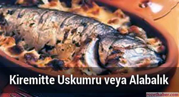 Kiremitte Uskumru veya Alabalık Kiremitte Uskumru veya Alabalık
