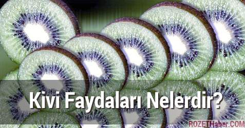 Kivi Faydaları Nelerdir Hakkında Bilgi ve Vitaminleri Kivi Faydaları Nelerdir Hakkında Bilgi ve Vitaminleri