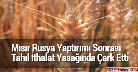Mısır Rusya Yaptırımı Sonrası Tahıl İthalat Yasağında Çark Etti