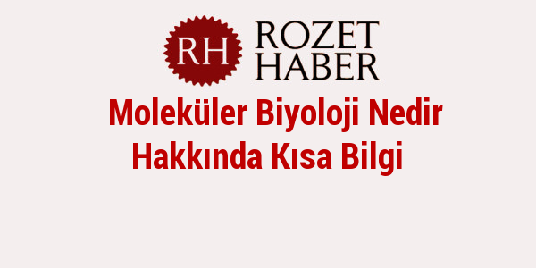 Moleküler Biyoloji Nedir Hakkında Kısa Bilgi