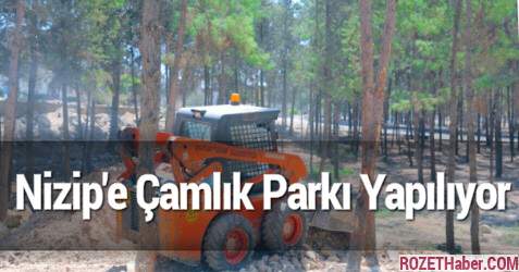Nizip'e Çamlık Parkı Yapılıyor Haberi Nizip'e Çamlık Parkı Yapılıyor resmi