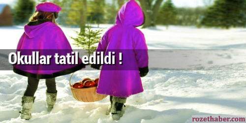 Okullar tatil edildi