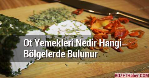Ot Yemekleri Nedir Hangi Bölgelerde Bulunur Ot Yemekleri Nedir Hangi Bölgelerde Bulunur