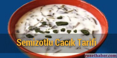 Semizotlu Cacık Nasıl Yapılır Tarifi