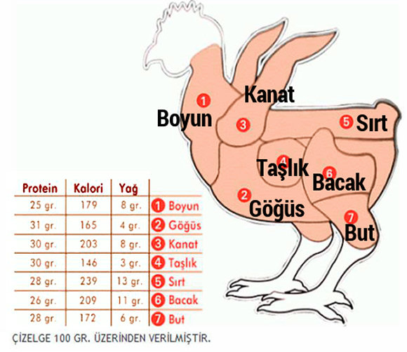 Tavuk Haritası