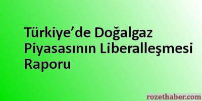 Türkiye’de Doğalgaz Piyasasının Liberalleşmesi Raporu
