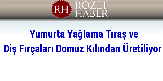 Yumurta Yağlama Traş ve Diş Fırçaları Domuz Kılından Yapılıyor Yumurta Yağlama Traş ve Diş Fırçaları Domuz Kılından Yapılıyor