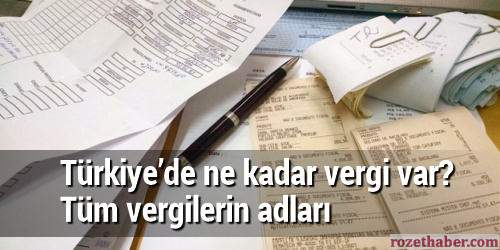 Türkiye'de Vergi Yükü Çeşitleri Türkiye'de Vergi Yükü Çeşitleri