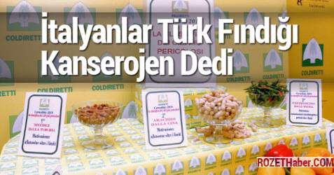 Türkiye'de Üretilen Fındık Kanser mi Yapıyor