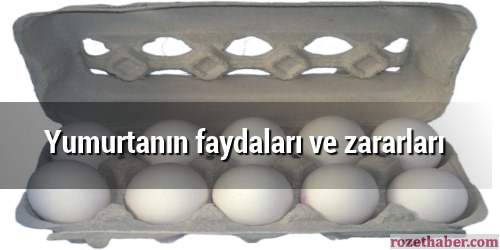 Yumurtanın faydaları ve zararları nelerdir Yumurtanın faydaları ve zararları nelerdir