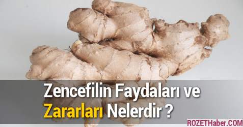 Zencefilin Faydaları Ve Zararları Nelerdir Kullanımı