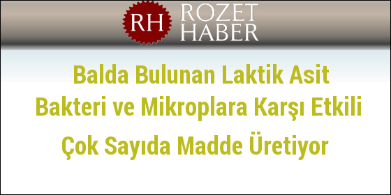 Balda Bulunan Laktik Asit Bakteri ve Mikroplara Karşı Etkili Çok Sayıda Madde Üretiyor Balda Bulunan Laktik Asit Bakteri ve Mikroplara Karşı Etkili Çok Sayıda Madde Üretiyor