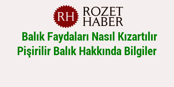 Balık Faydaları Nasıl Kızartılır Pişirilir Balık Hakkında Bilgiler Balık Faydaları Nasıl Kızartılır Pişirilir Balık Hakkında Bilgiler