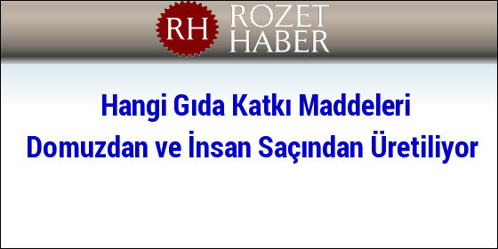 Hangi Katkı Maddeleri Domuzdan ve İnsan Saçından Üretiliyor Hangi Katkı Maddeleri Domuzdan ve İnsan Saçından Üretiliyor
