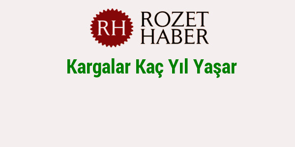 Kargalar Kaç Yıl Yaşar Kargalar Kaç Yıl Yaşar
