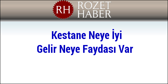 Kestane Neye İyi Gelir Neye Faydası Var Kestane Neye İyi Gelir Neye Faydası Var