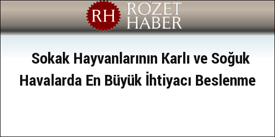 Sokak Hayvanlarının Karlı ve Soğuk Havalarda En Büyük İhtiyacı Beslenme Sokak Hayvanlarının Karlı ve Soğuk Havalarda En Büyük İhtiyacı Beslenme