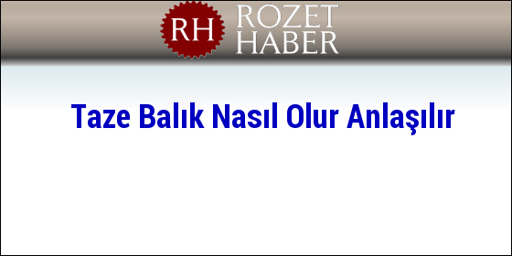 Taze Balık Nasıl Olur Anlaşılır Taze Balık Nasıl Olur Anlaşılır